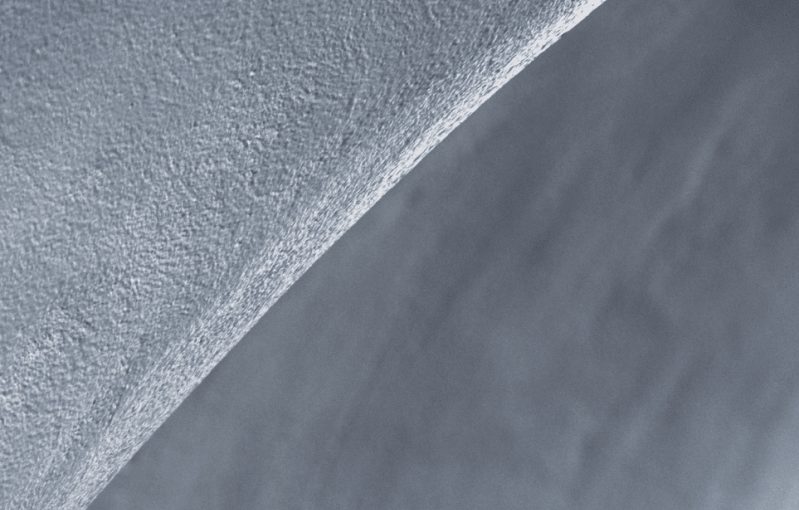 Nicomachean Ethics by&nbsp;Aristotle